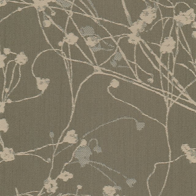Botticelli Lily Pad