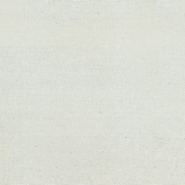Savona Bright White