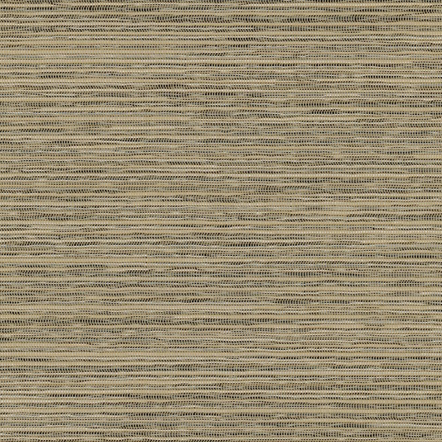 Screen Cork