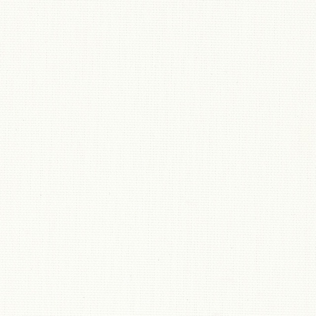 Screen White 1101