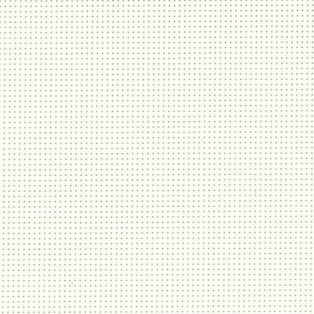 Screen White 1010