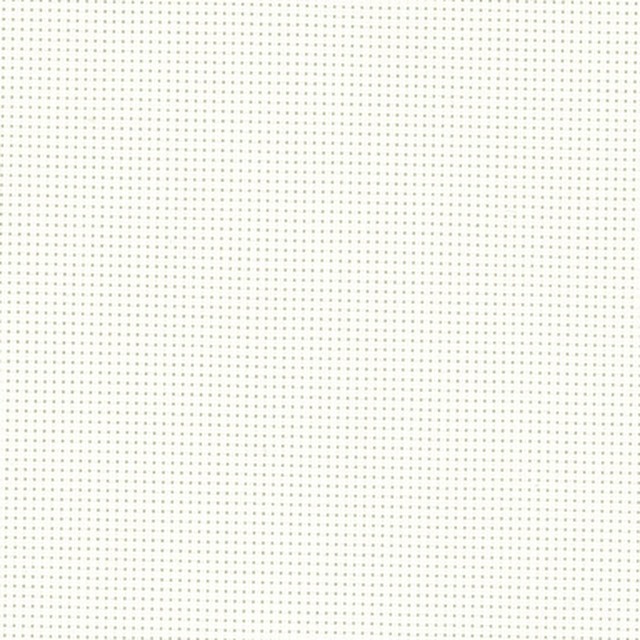 Screen White 5105