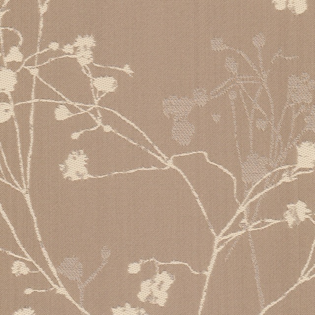 Botticelli Champagne Fizz 1688