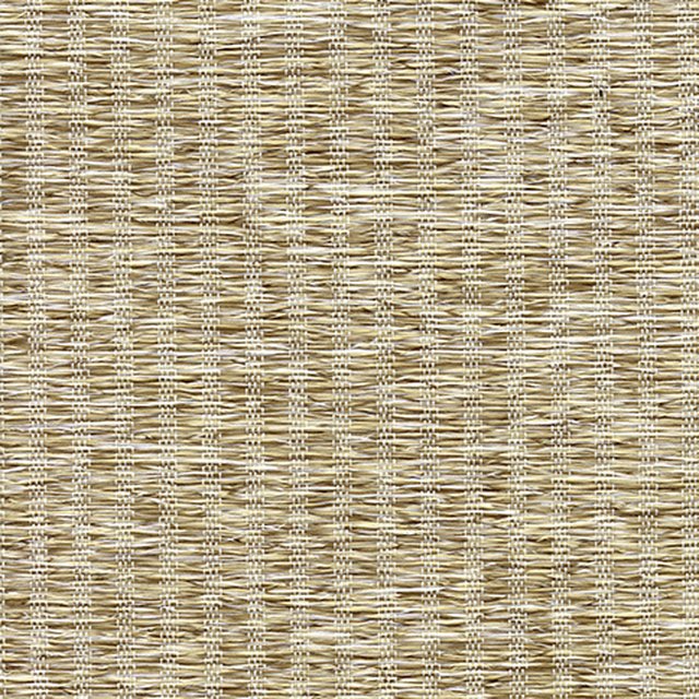 Fern Wheat