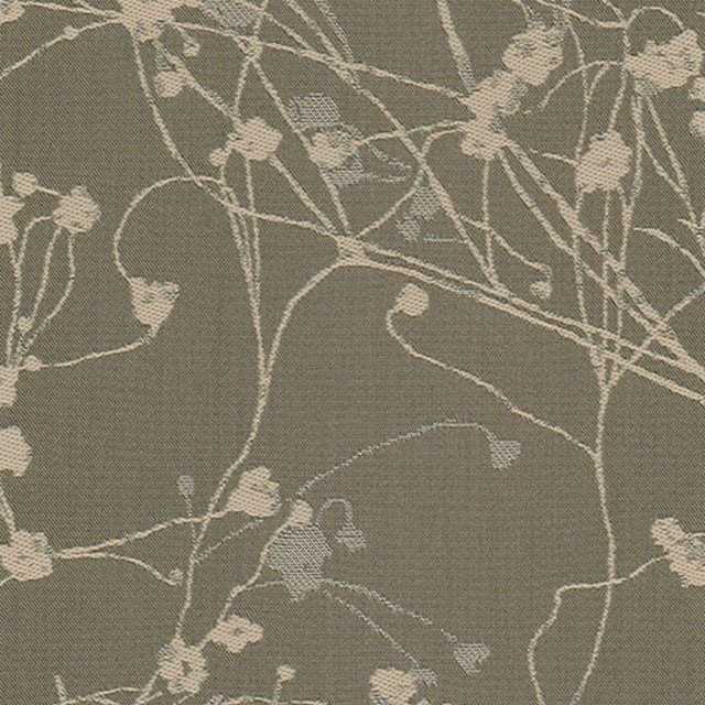 Botticelli Lily Pad