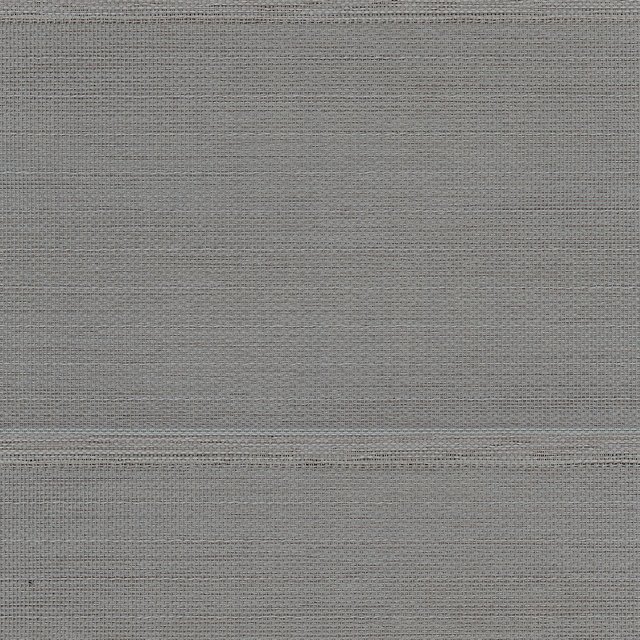 Belize – Pewter